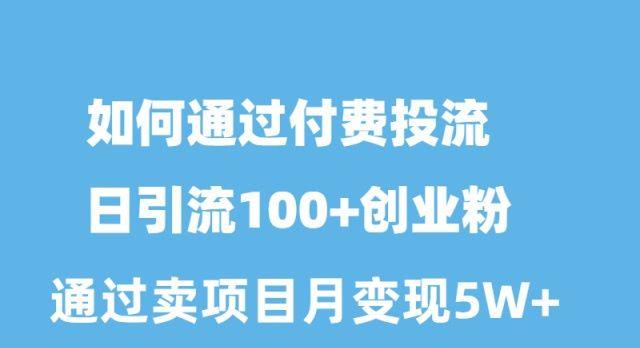 如何通过付费投流日引流100+创业粉月变现5W+-乐码云集