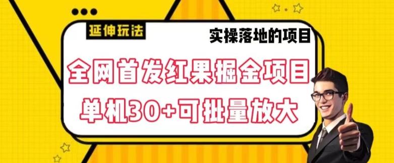 全网首发红果免费短剧掘金项目，单机30+可批量放大【揭秘】-乐码云集