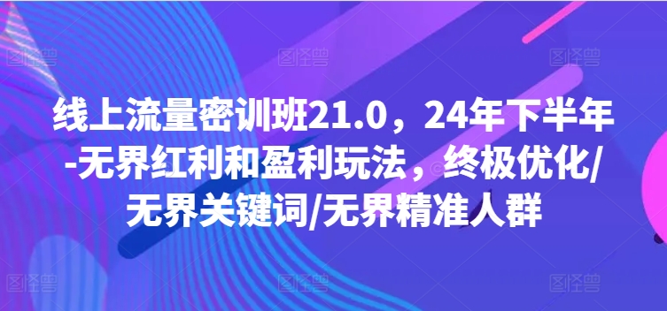 线上流量密训班21.0，24年下半年-无界红利和盈利玩法，终极优化/无界关键词/无界精准人群-乐码云集