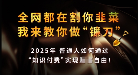知识付费如何做到月入过W+，2025我来教你做“镰刀”【揭秘】-乐码云集