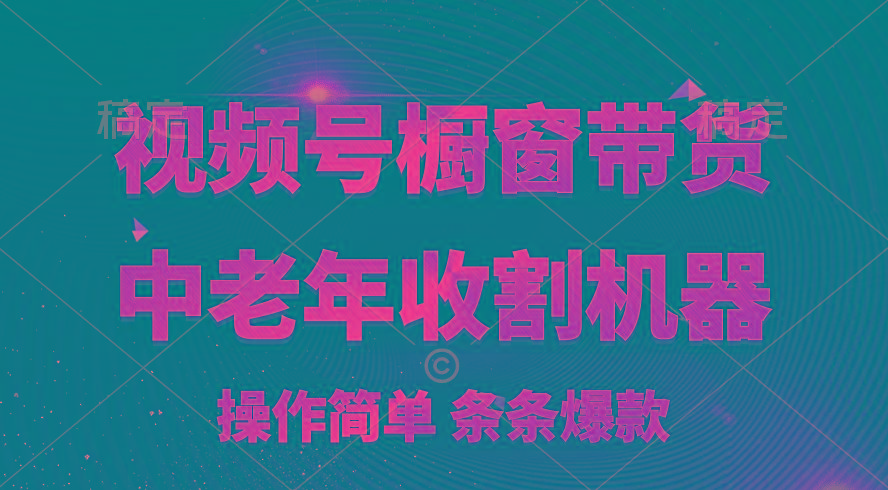 [你的孩子成功取得高位]视频号最火爆赛道，橱窗带货，流量分成计划，条…-乐码云集