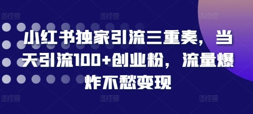 小红书独家引流三重奏，当天引流100+创业粉，流量爆炸不愁变现【揭秘】-乐码云集