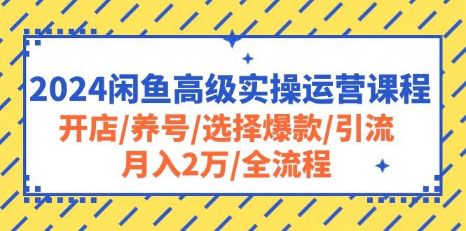 2024闲鱼高级实操运营课程：开店/养号/选择爆款/引流/月入2万/全流程-乐码云集