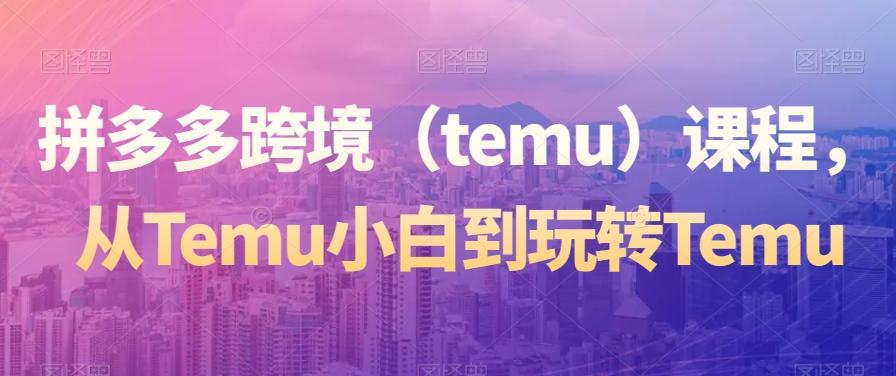 拼多多跨境（temu）课程，从Temu小白到玩转Temu-乐码云集