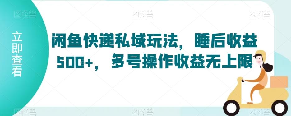 闲鱼快递私域玩法，睡后收益500+，多号操作收益无上限【揭秘】-乐码云集