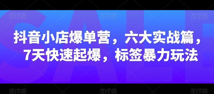 抖音小店爆单营，六大实战篇，7天快速起爆，标签暴力玩法-乐码云集