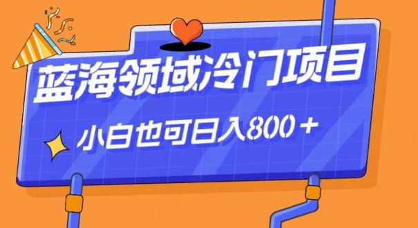 蓝海领域冷门赛道，一单39.9，日入800＋-乐码云集