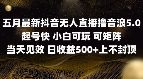 2025五月最新无人直播撸音浪单日产出5张+实操教程【揭秘】-乐码云集