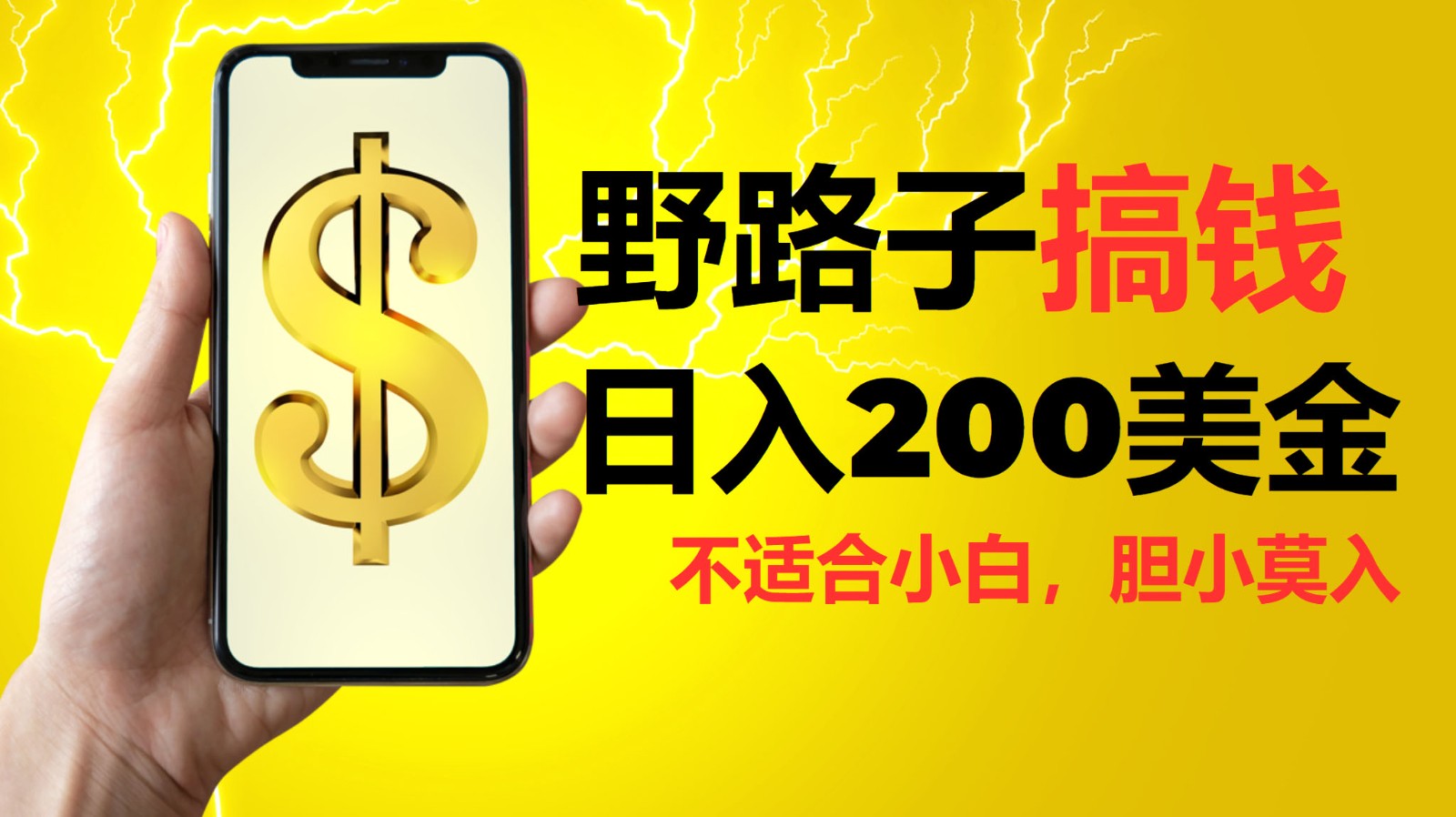 挂机野路子搞钱，日入200美金，路子很野，小白莫入-乐码云集