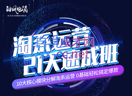淘系运营21天速成班(更新7月)-乐码云集