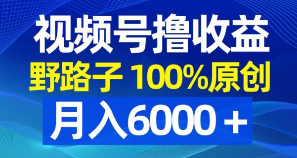 视频号野路子撸收益，100%原创，条条爆款，月入6000＋【揭秘】-乐码云集