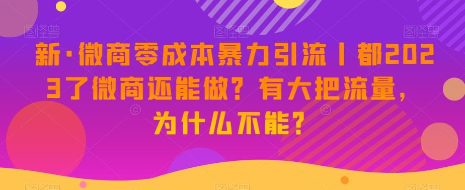新·微商零成本暴力引流丨都2023了微商还能做？有大把流量，为什么不能？-乐码云集