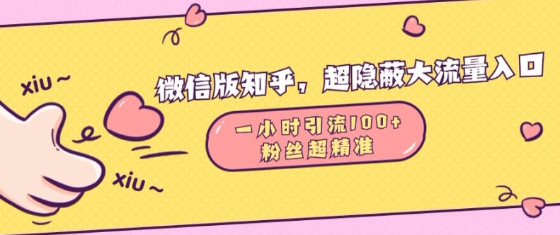 微信版知乎，超隐蔽流量入口1小时引流100人，粉丝质量超高【揭秘】-乐码云集