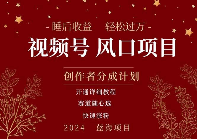 拥有睡眠收益的微信视频号大风口项目，轻松月入过万+，多赛道选择，可…-乐码云集