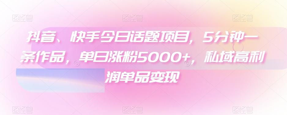 抖音、快手今日话题项目，5分钟一条作品，单日涨粉5000+，私域高利润单品变现-乐码云集