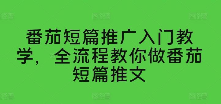 番茄短篇推广入门教学，全流程教你做番茄短篇推文-乐码云集