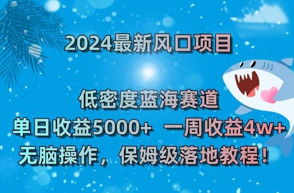 2024最新风口项目，低密度蓝海赛道，单日收益5000+，一周收益4w+！【揭秘】-乐码云集