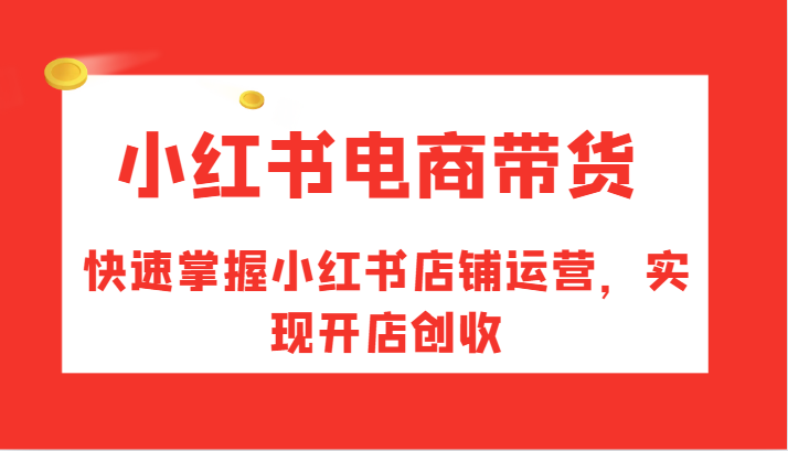 小红书电商带货，快速掌握小红书店铺运营，实现开店创收-乐码云集