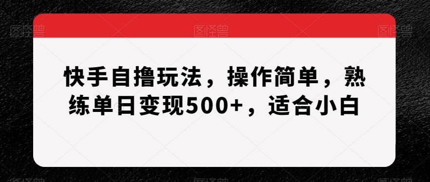快手自撸玩法，操作简单，熟练单日变现500+，适合小白【揭秘】-乐码云集