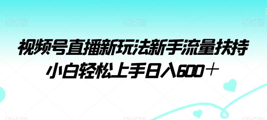 视频号直播新玩法新手流量扶持小白轻松上手日入600＋【揭秘】-乐码云集