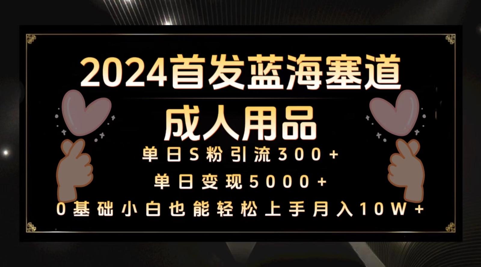 2024首发蓝海塞道成人用品，月入10W+保姆教程-乐码云集