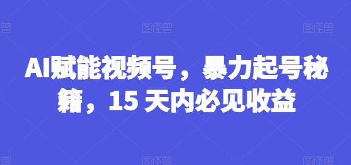 AI赋能视频号，暴力起号秘籍，15 天内必见收益【揭秘】-乐码云集