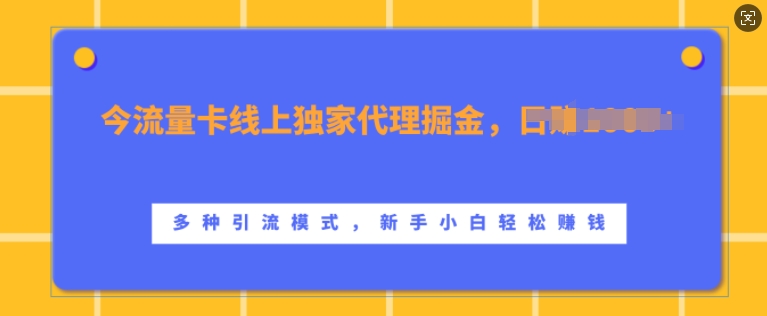 流量卡线上独家代理掘金，日入1k+ ，多种引流模式，新手小白轻松上手【揭秘】-乐码云集