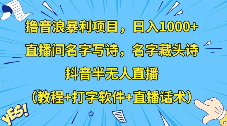 撸音浪暴利项目，日入1000+，直播间名字写诗，名字藏头诗，抖音半无人直播（教程+打字软件+直播话术）【揭秘】-乐码云集