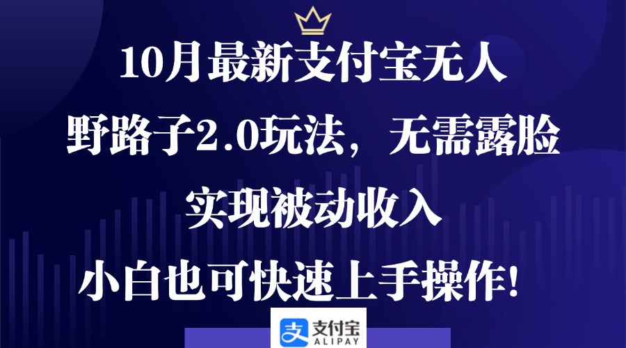 10月最新支付宝无人野路子2.0玩法，无需露脸，实现被动收入，小白也可...-乐码云集