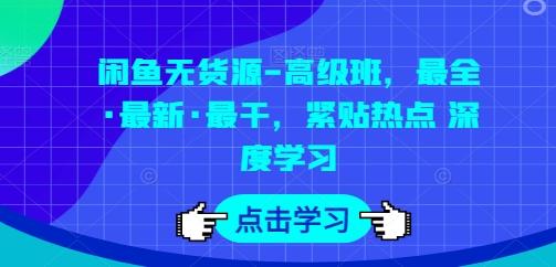 闲鱼无货源-高级班，最全·最新·最干，紧贴热点 深度学习-乐码云集