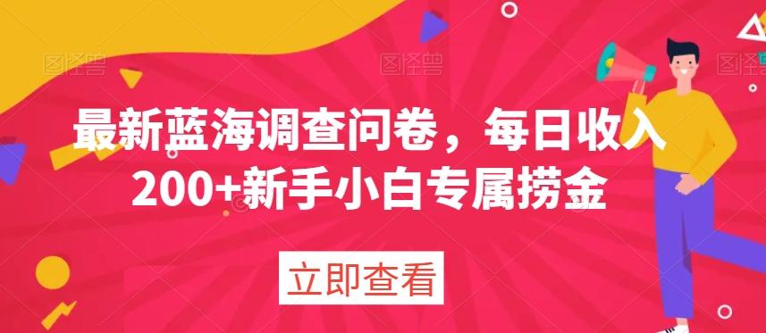 最新蓝海调查问卷，每日收入200+新手小白专属捞金-乐码云集