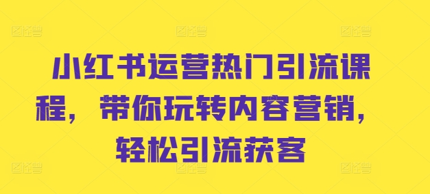 小红书运营热门引流课程，带你玩转内容营销，轻松引流获客-乐码云集