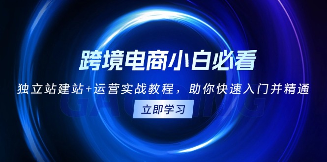跨境电商小白必看！独立站建站+运营实战教程，助你快速入门并精通-乐码云集