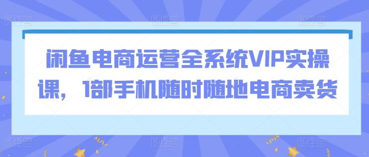 闲鱼电商运营全系统VIP实操课，1部手机随时随地电商卖货-乐码云集
