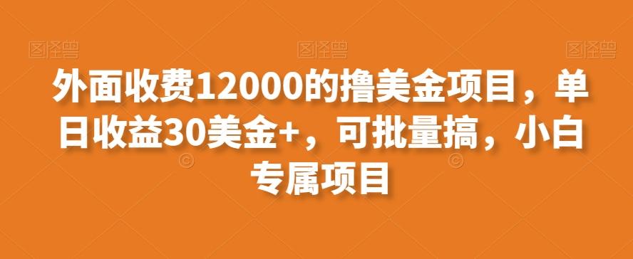 外面收费12000的撸美金项目，单日收益30美金+，可批量搞，小白专属项目-乐码云集