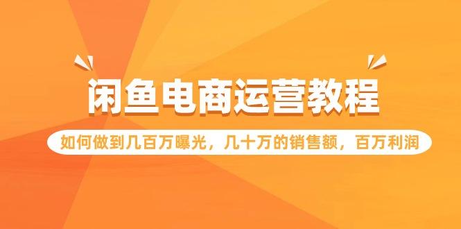 (9560期)闲鱼电商运营教程：如何做到几百万曝光，几十万的销售额，百万利润-乐码云集
