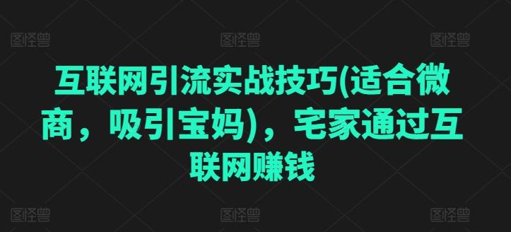 互联网引流实战技巧(适合微商，吸引宝妈)，宅家通过互联网赚钱-乐码云集