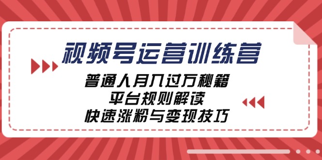 视频号运营训练营：普通人月入过万秘籍，平台规则解读，快速涨粉与变现-乐码云集