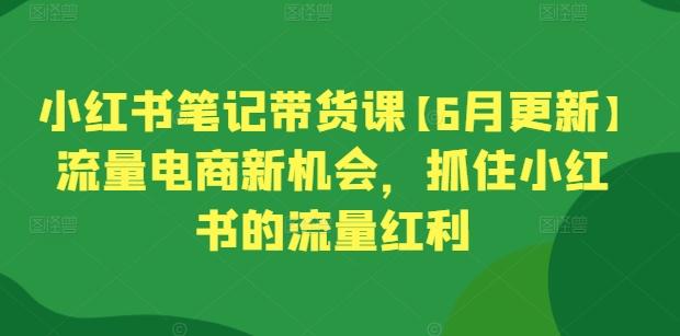 小红书笔记带货课【6月更新】流量电商新机会，抓住小红书的流量红利-乐码云集