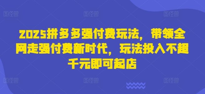 2025拼多多强付费玩法，带领全网走强付费新时代，玩法投入不超千元即可起店-乐码云集