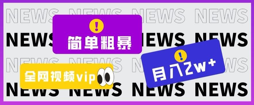 简单粗暴零成本，高回报，全网视频VIP掘金项目，月入2万＋【揭秘】-乐码云集