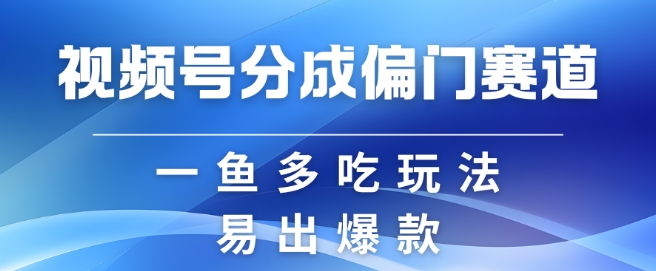 视频号创作者分成计划偏门类目，容易爆流，实拍内容简单易做【揭秘】-乐码云集