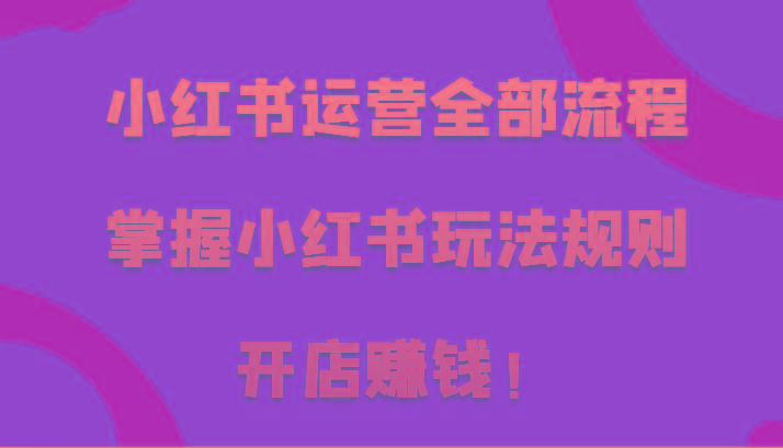 小红书运营全部流程，掌握小红书玩法规则，开店赚钱！-乐码云集