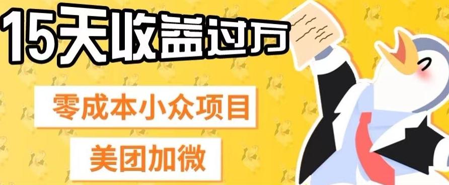 零成本小众项目，美团加微，一单4.5+，15天已经有人赚上万收益-乐码云集