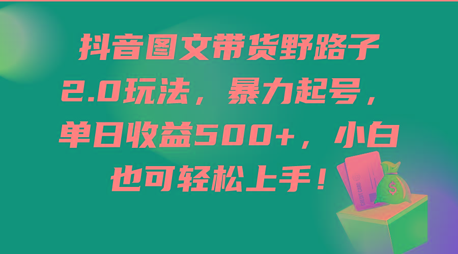 (9790期)抖音图文带货野路子2.0玩法，暴力起号，单日收益500+，小白也可轻松上手！-乐码云集