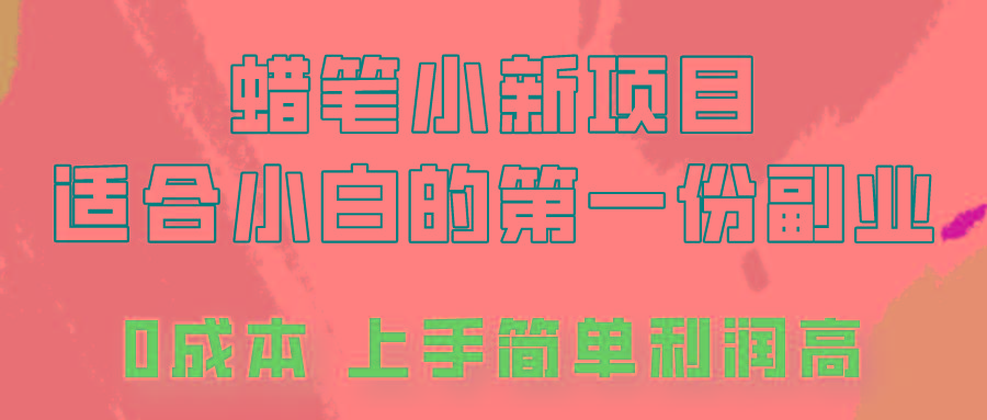 蜡笔小新项目拆解，0投入，0成本，小白一个月也能多赚3000+-乐码云集