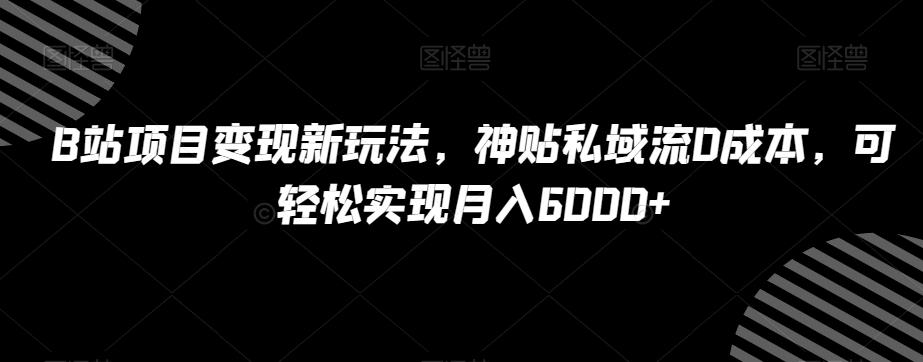 B站项目变现新玩法，神贴私域流0成本，可轻松实现月入6000+【揭秘】-乐码云集