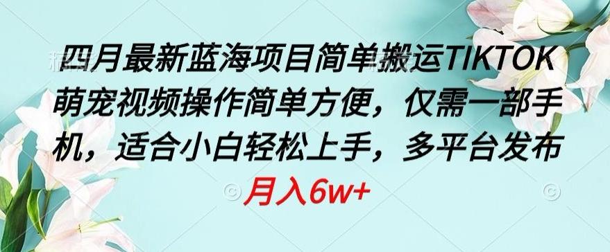 四月最新蓝海项目，简单搬运TIKTOK萌宠视频，操作简单方便，仅需一部手机【揭秘】-乐码云集