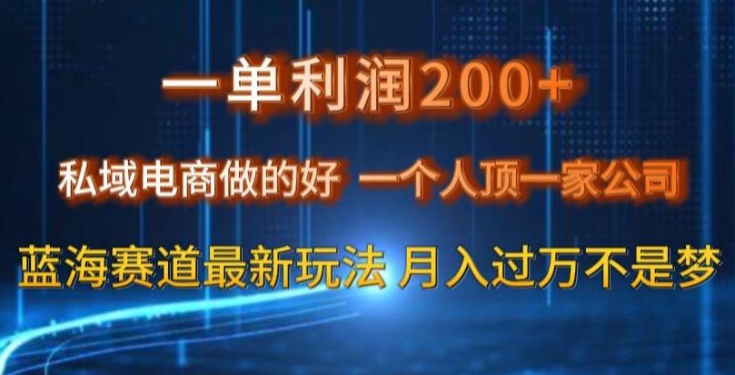 一单利润200私域电商做的好，一个人顶一家公司蓝海赛道最新玩法【揭秘】-乐码云集
