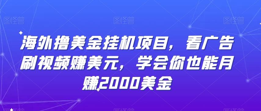 海外撸美金挂机项目，看广告刷视频赚美元，学会你也能月赚2000美金-乐码云集